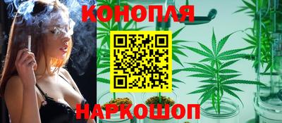 спиды Можга